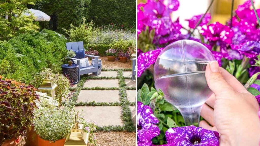 How to Maintain a Thriving Garden During Vacation